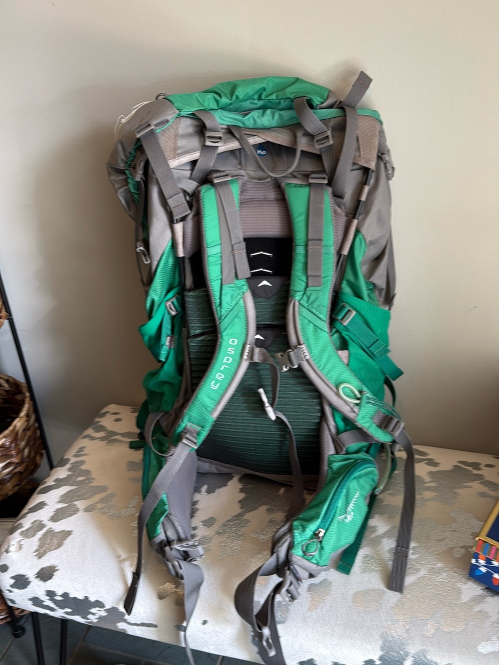 Osprey Viva 65 Women's Green Hiking Backpack - Picture 2 of 3